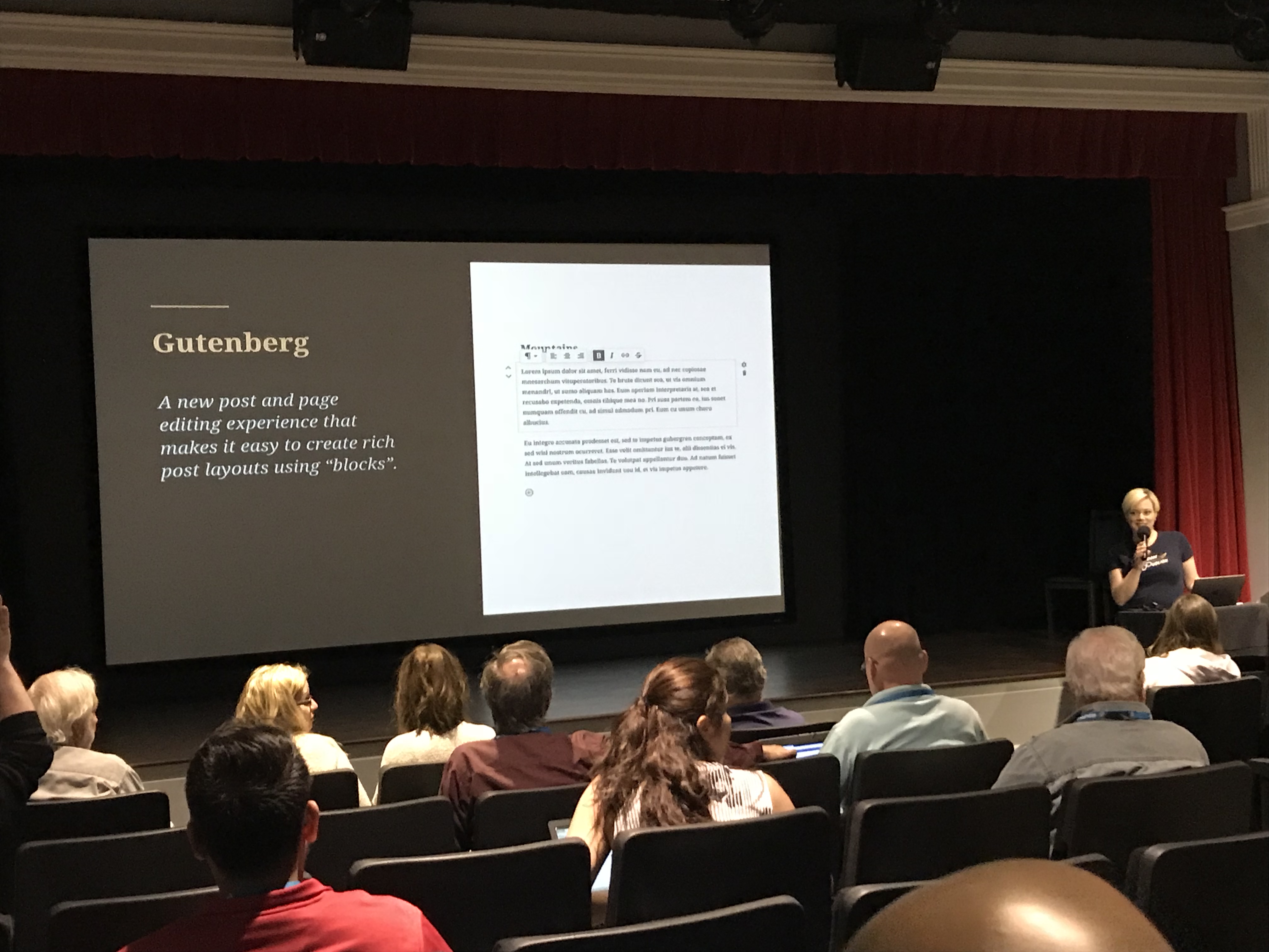 Shannon Smith talks about Gutenberg at WordCamp YYC